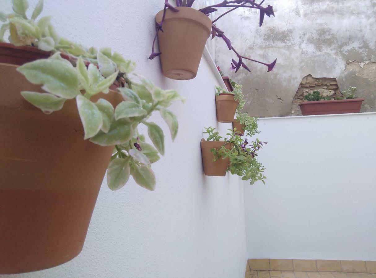 Apartamento Palo Cortao 赫雷斯 外观 照片